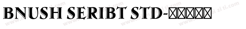 Bnush Seribt Std字体转换
